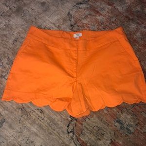 Orange women’s shorts size 12. Never been worn! Stretchy material
